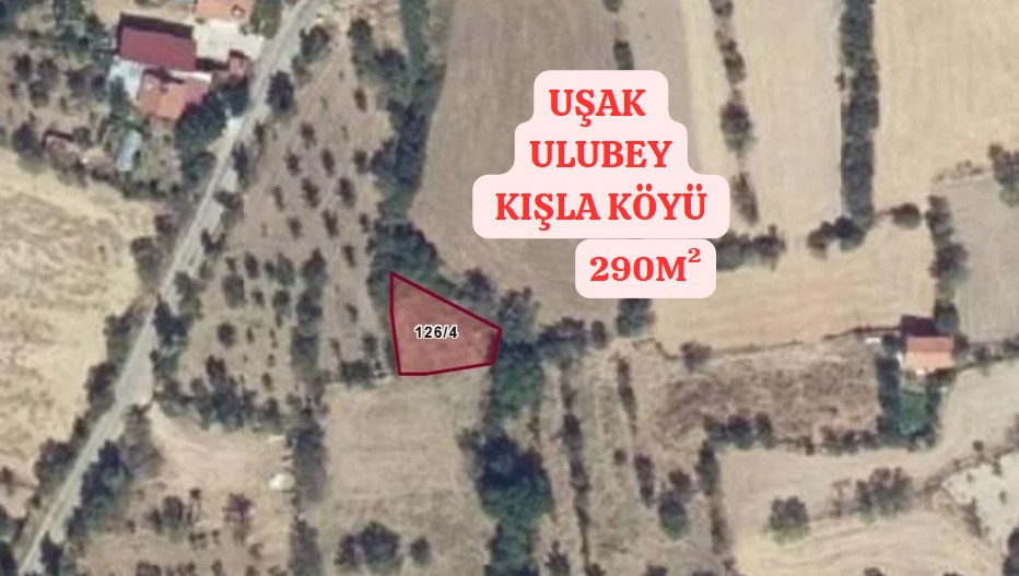 Fotoğraf