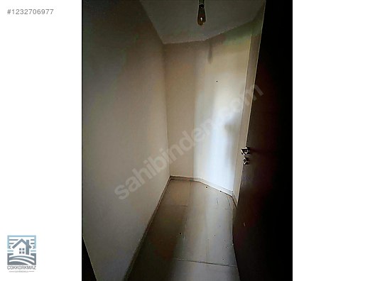 Fotoğraf