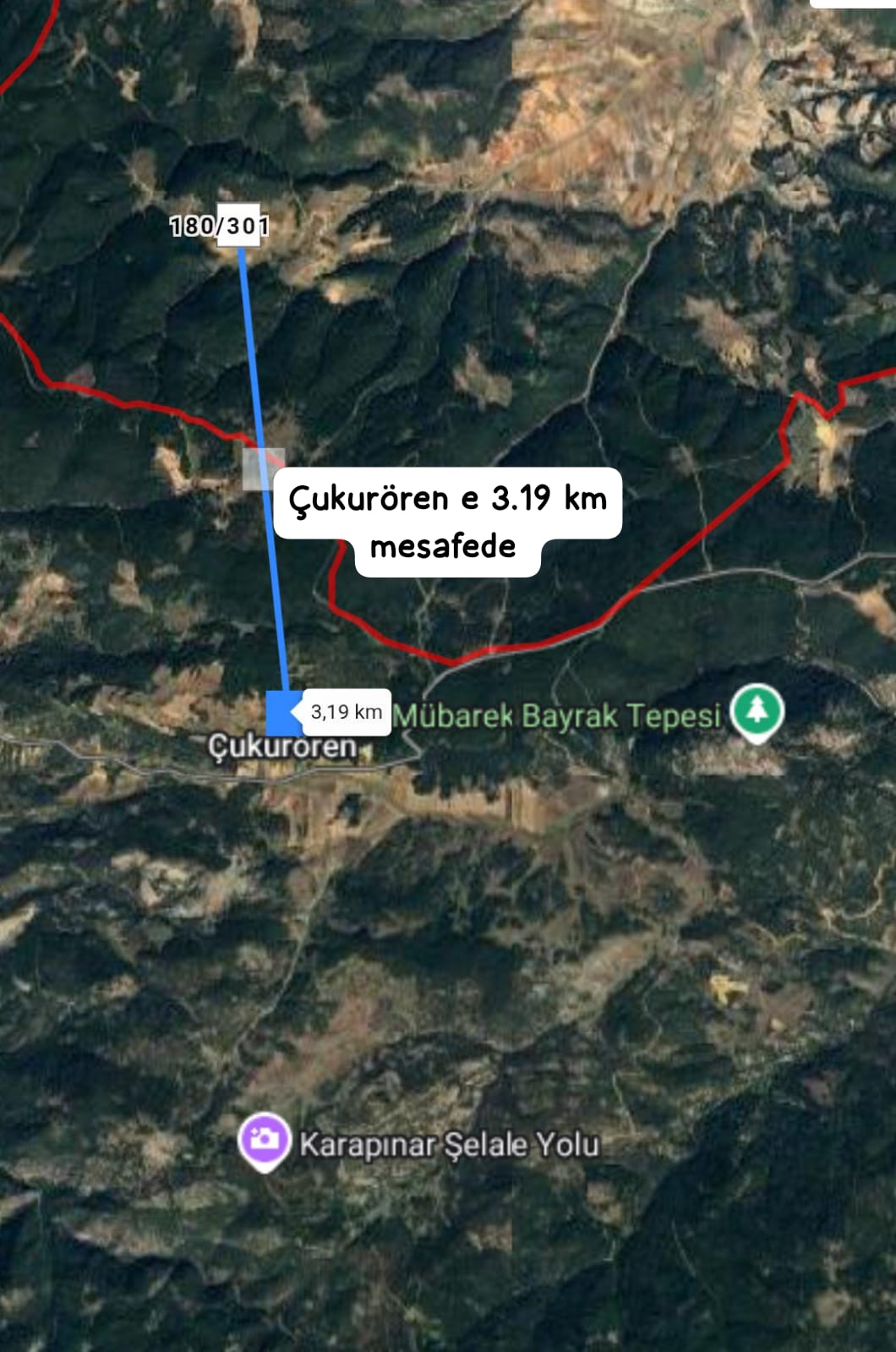 Fotoğraf