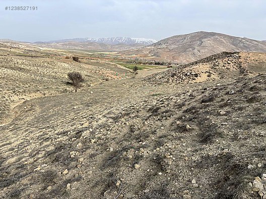 İlan Fotoğrafı