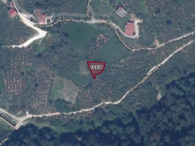 TRABZON OF SARAÇLI   KÖYÜNDE 387 M²  FINDIK BAHÇESİ  SATILIKTIR