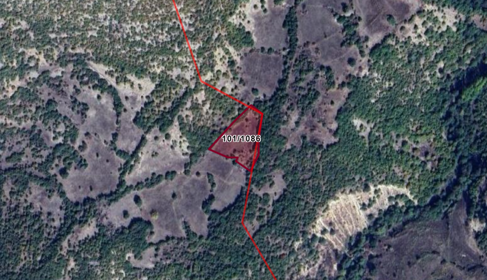 KÜTAHYA DOMANİÇ KARAMANLAR  KÖYÜNDE 3.938 M² TARLA SATILIKTIR