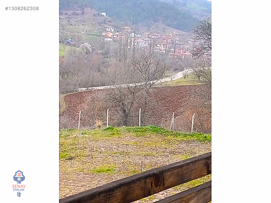 YATIRIMLIK...BİLECİK GÖLPAZARINDA 6780 M2 (ARAÇ TAKASLI) BAHÇE