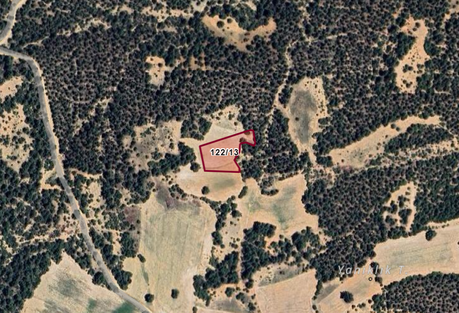 AFYONKARAHİSAR DAZKIRI YAYLA  KÖYÜNDE 3.000  M² TARLA  SATILIKTIR