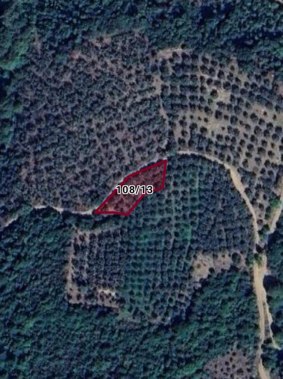 İlan Fotoğrafı
