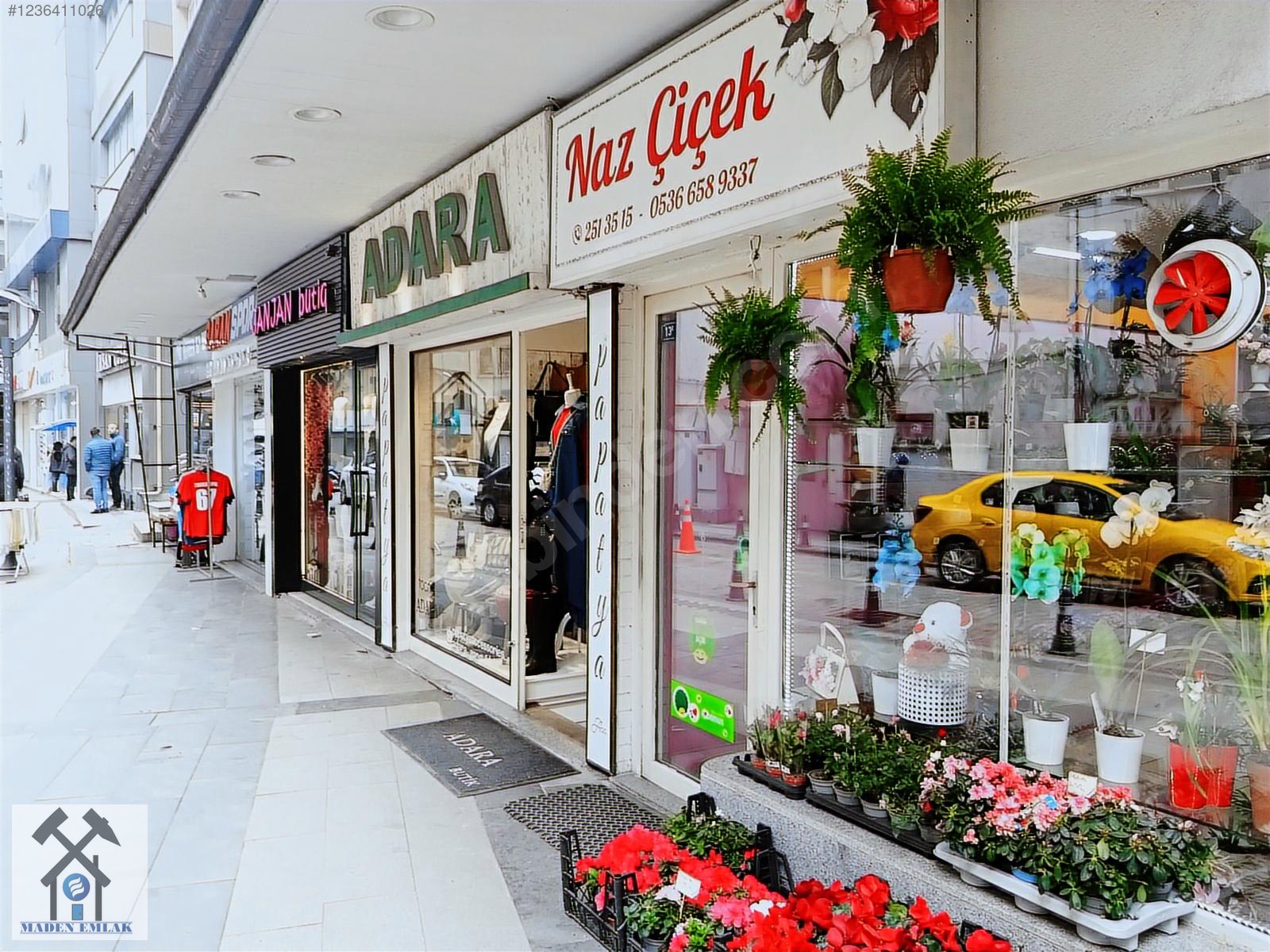 Fotoğraf
