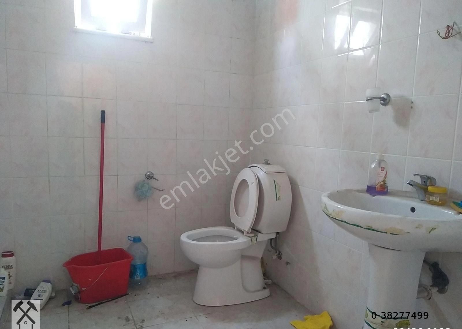 Fotoğraf