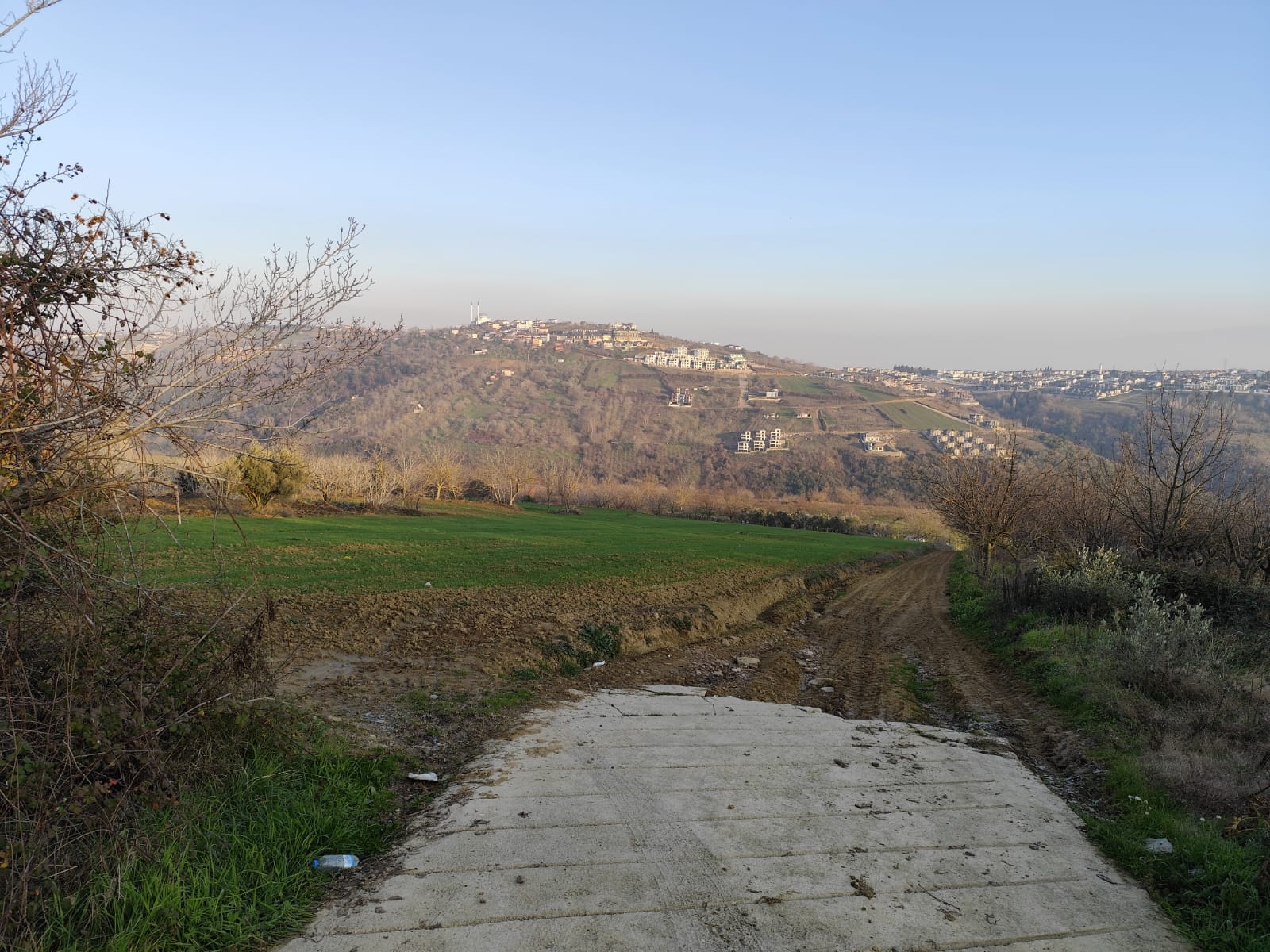 Fotoğraf