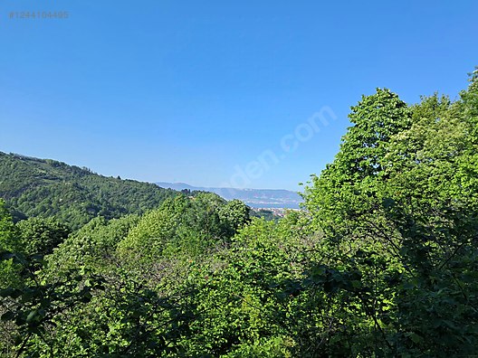 Fotoğraf