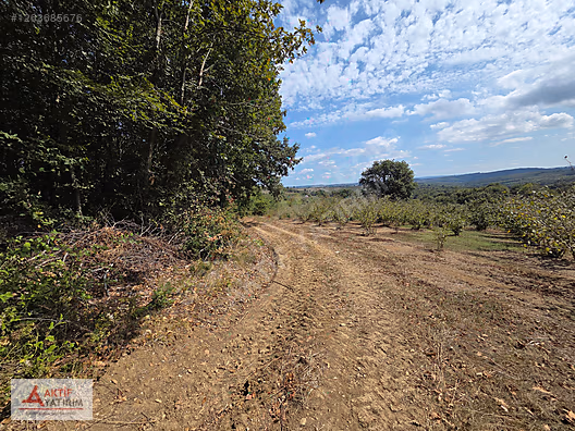 KANDIRA ANTAPLI MAHALLESİ'NDE SATILIK 1632 M2 FIRSAT TARLA