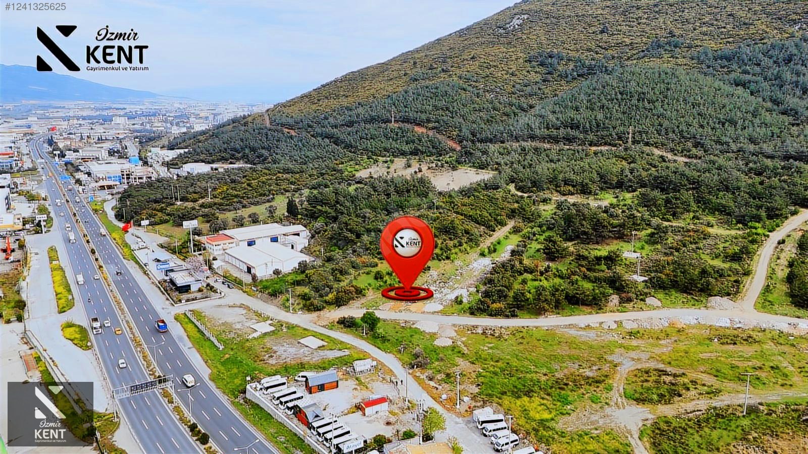 Fotoğraf