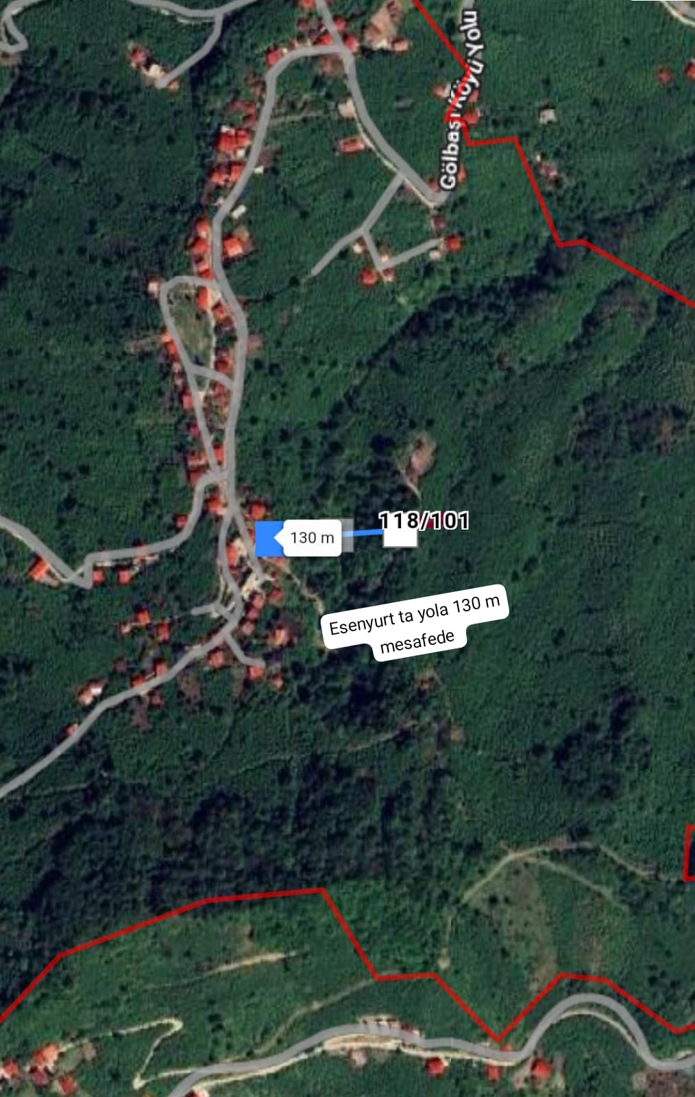 Fotoğraf
