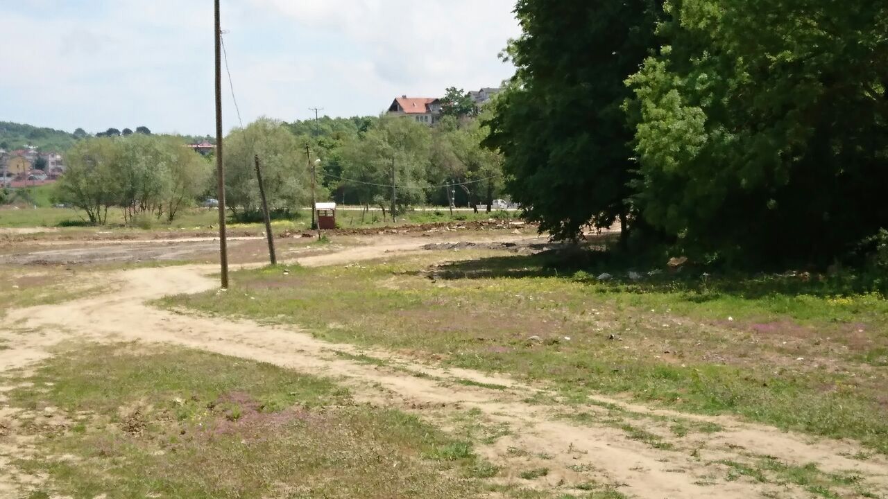 Fotoğraf