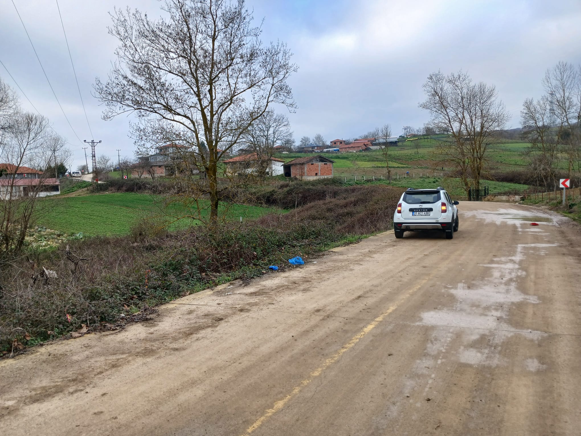 Fotoğraf