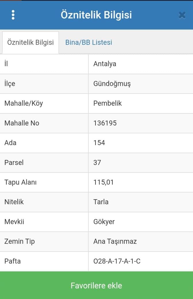 Fotoğraf