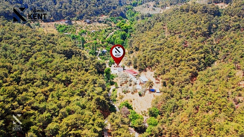 Fotoğraf