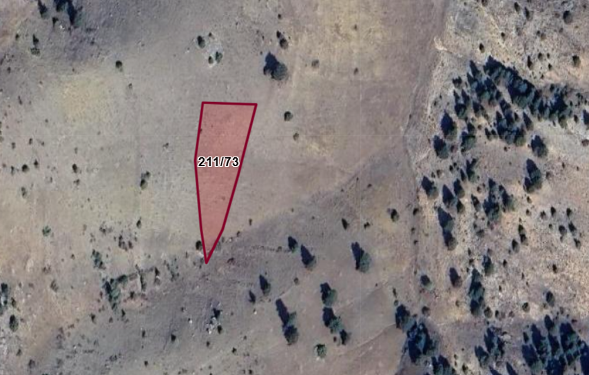 Fotoğraf