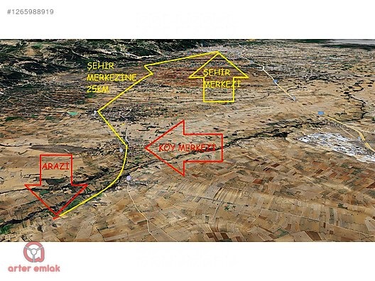 Fotoğraf