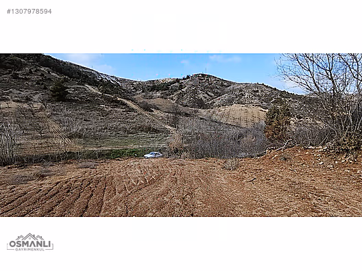 KÜRE KÖYÜNE 5 DK MESAFEDE İÇİ DÜZELTİLMİŞ 1.450 M2 SATILIK ARAZİ