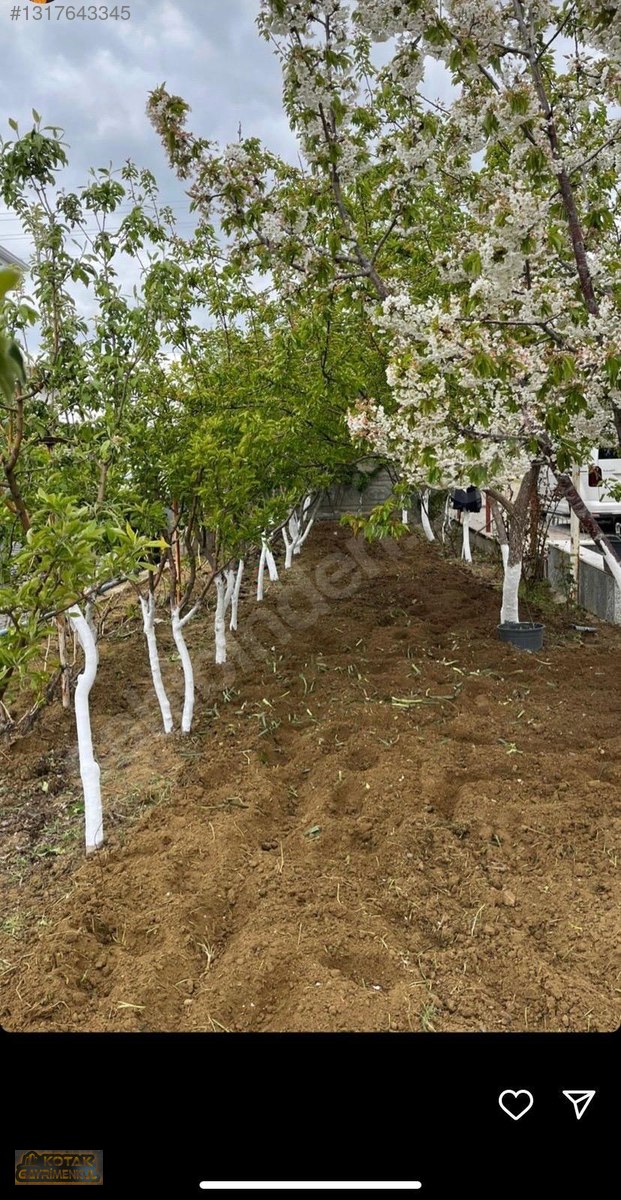 TOPAKKAYA MEDENİ BÖLGESİNDE HAZIR KURULU 700 M2 BAHÇE VE ARSASI