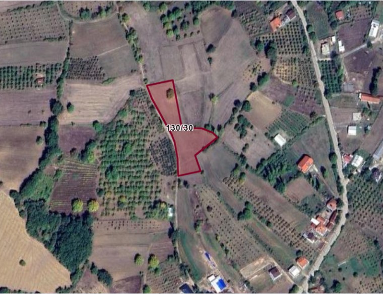 Fotoğraf