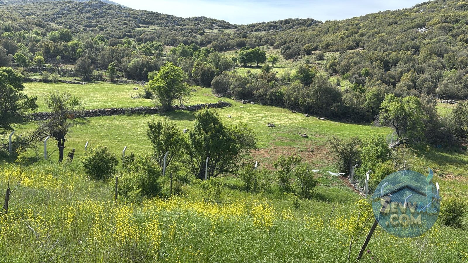İlan Fotoğrafı