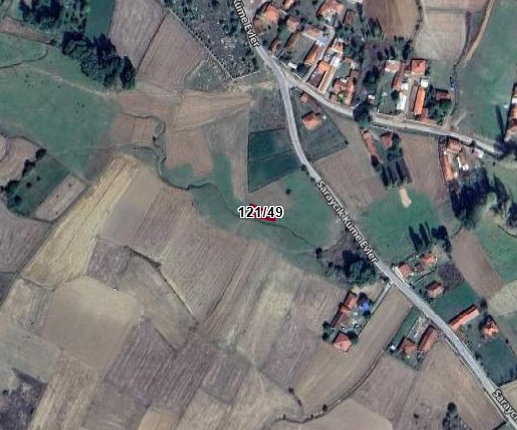 Fotoğraf