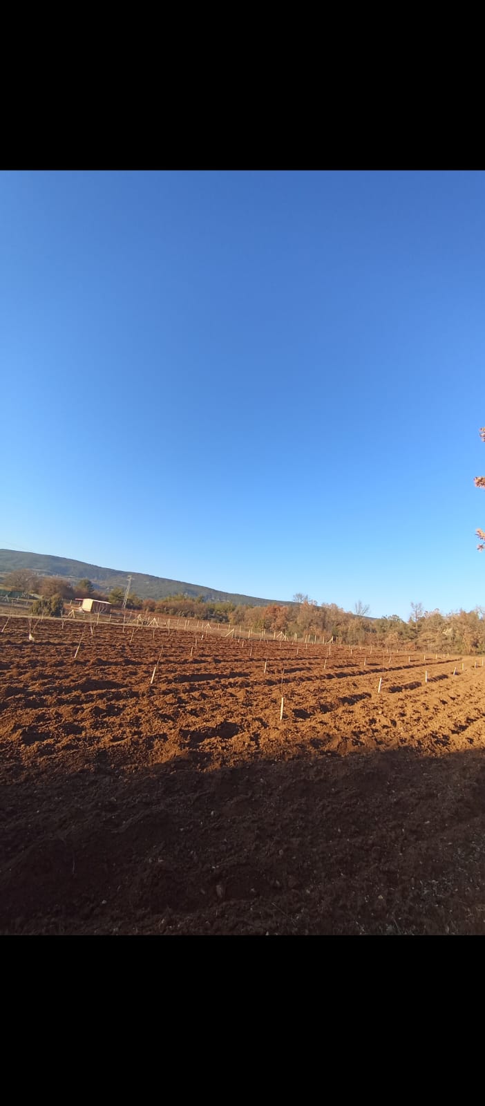 Fotoğraf