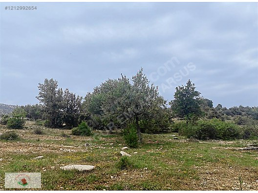 İlan Fotoğrafı
