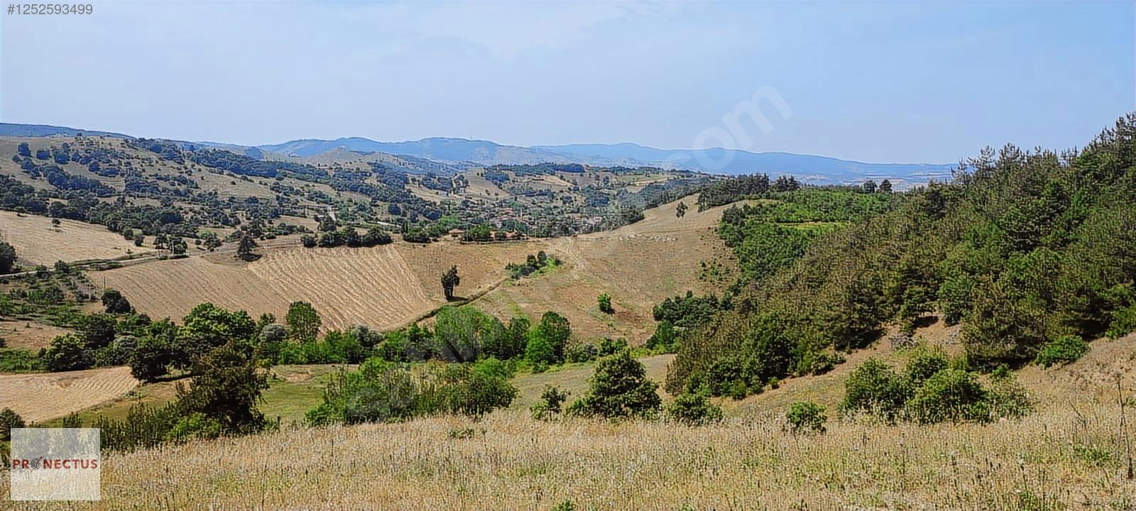 İlan Fotoğrafı
