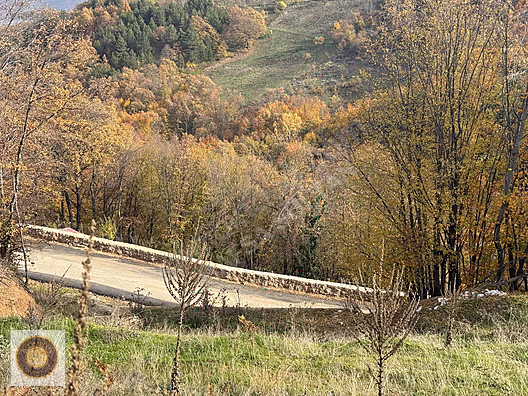 KESTEL LÜTFIYE MH SATILIK 1806M2 TARLA ASVALT YOLA CEPHE