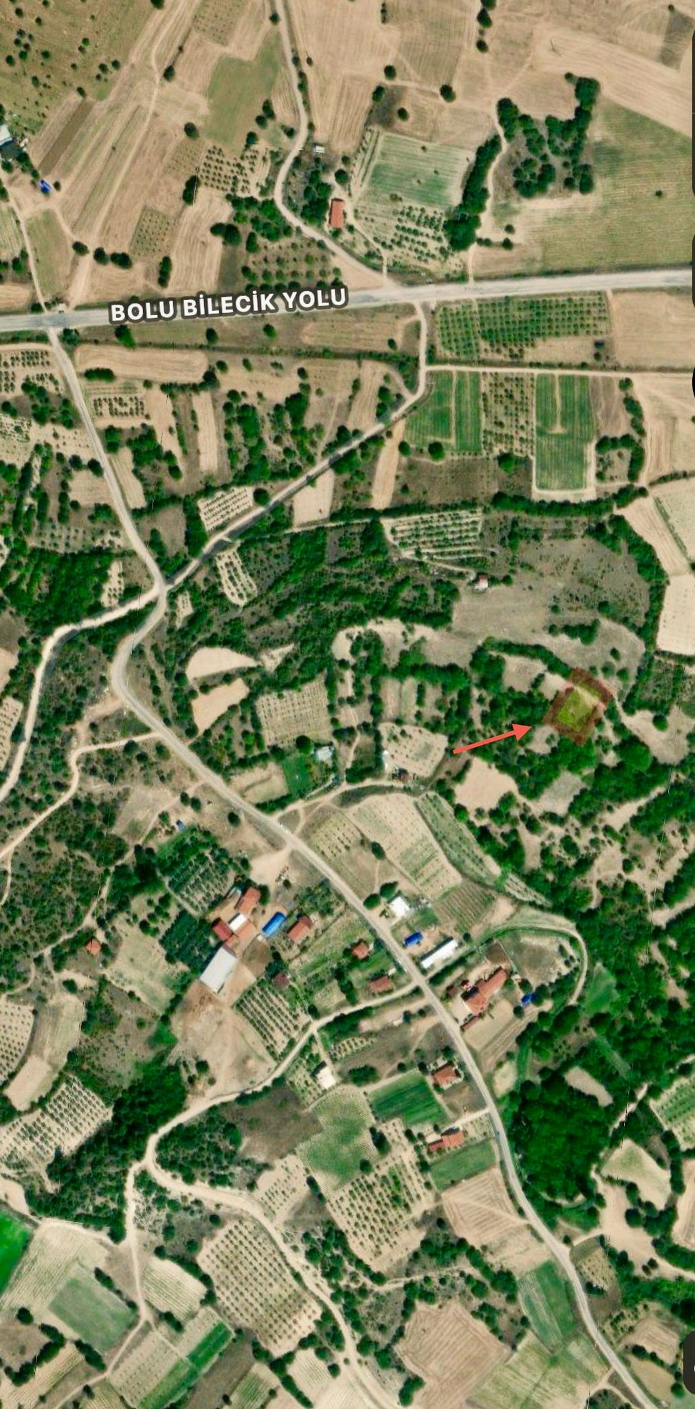 Fotoğraf