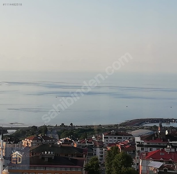 Fotoğraf