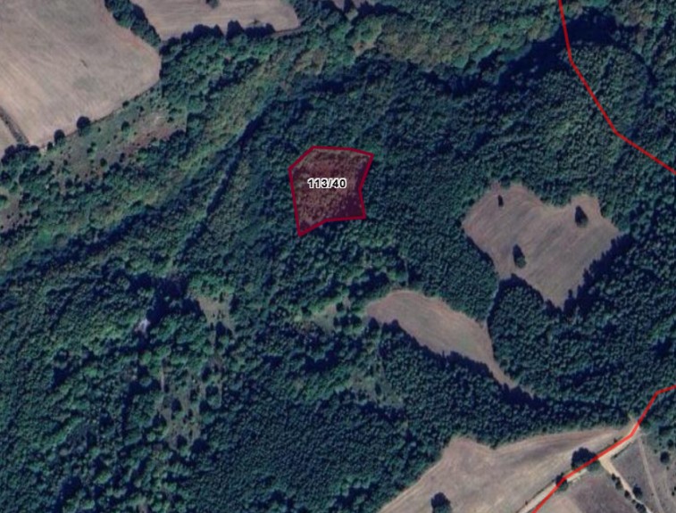 Fotoğraf