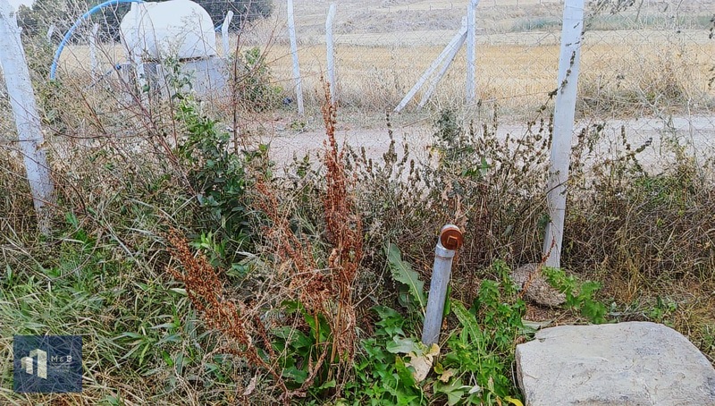 Fotoğraf