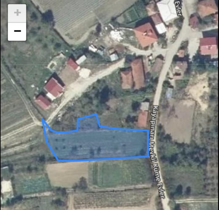Fotoğraf