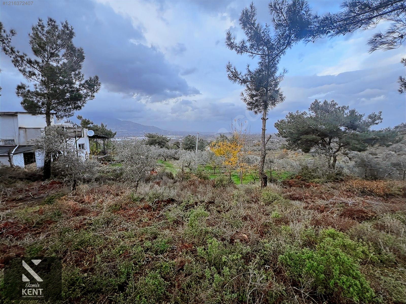 Fotoğraf