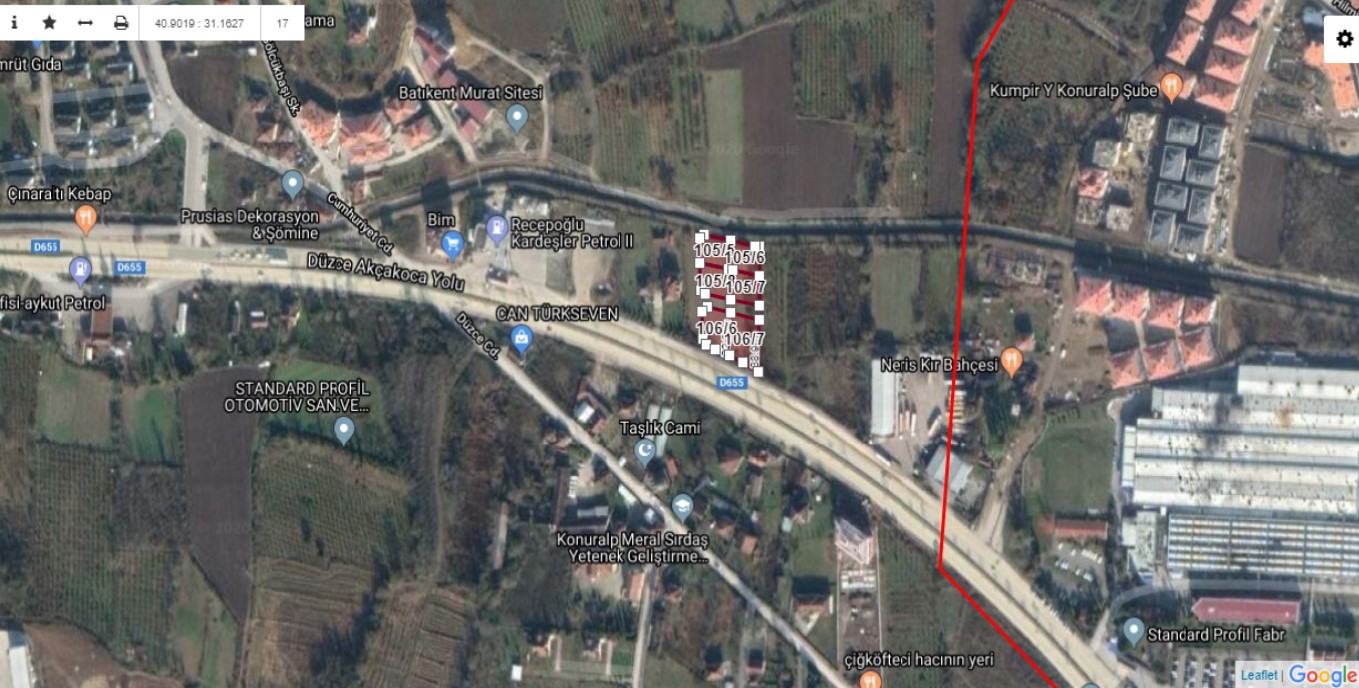 Fotoğraf