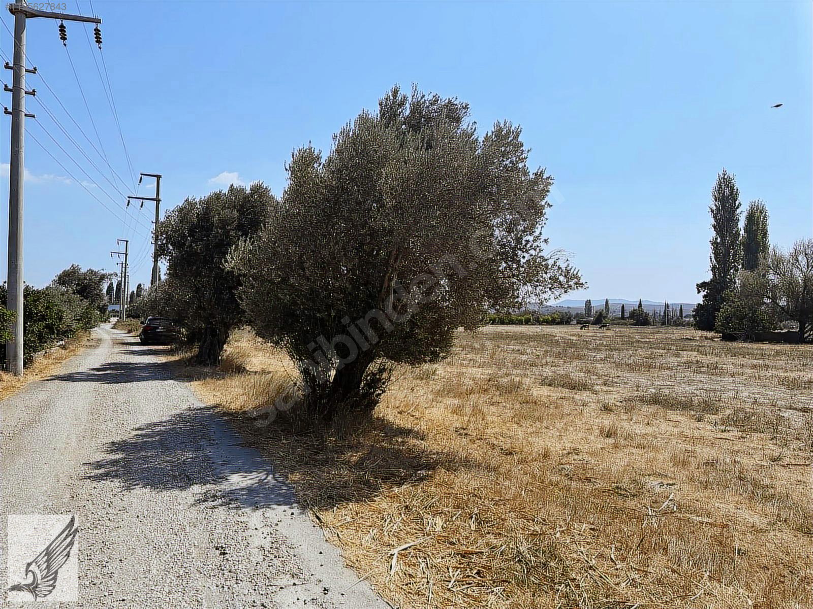 SEFERİHİSAR HIDIRLIK MAH 7100 M2 ARAZİ denize 1.5 km mesafede