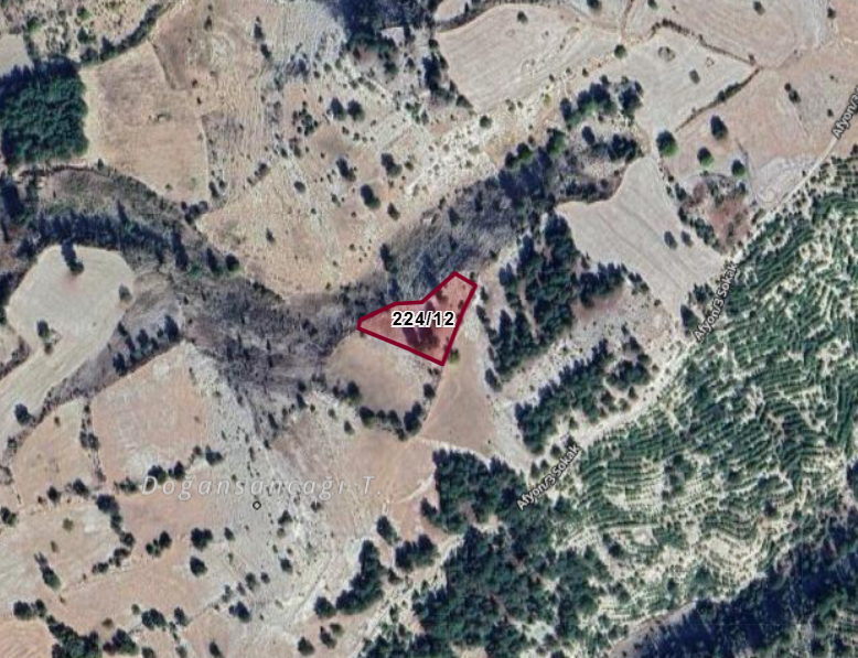 KÜTAHYA GEDİZ E.GEDİZ (HİSAR)   KÖYÜNDE 2.237  M²  BAĞ  SATILIKTIR