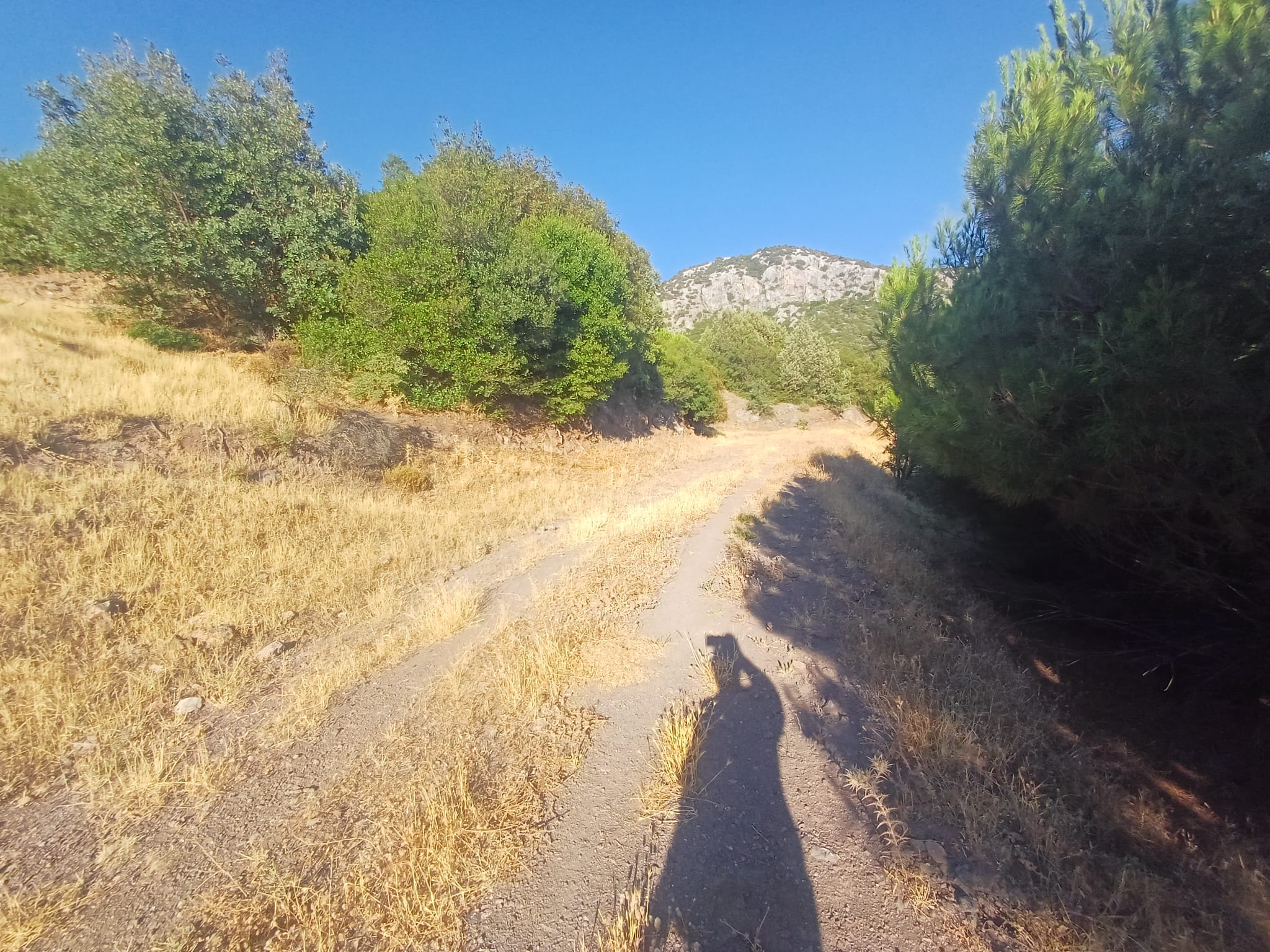 MANİSA AKHİSAR DOĞANKAYA   KÖYÜNDE  3.700 M²  TARLA  SATILIKTIR