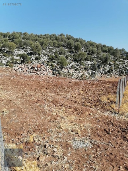 İlan Fotoğrafı