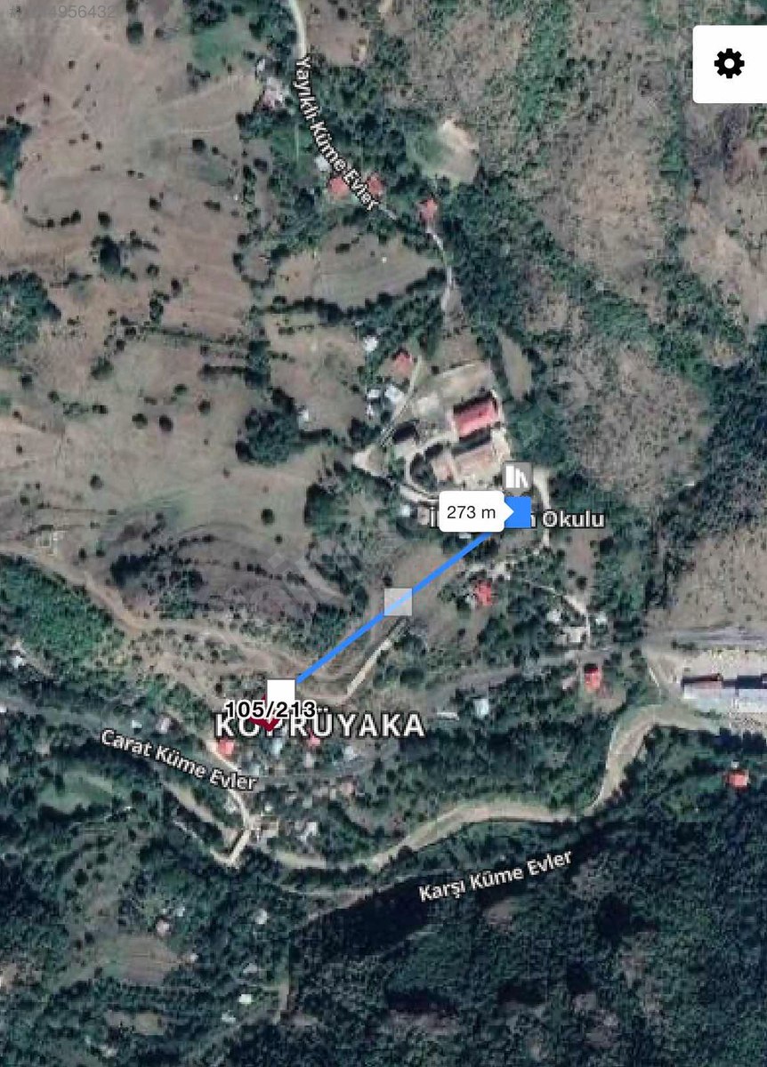 Fotoğraf