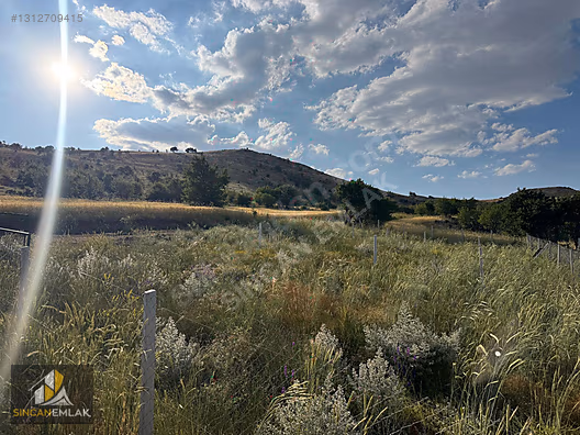 Fotoğraf
