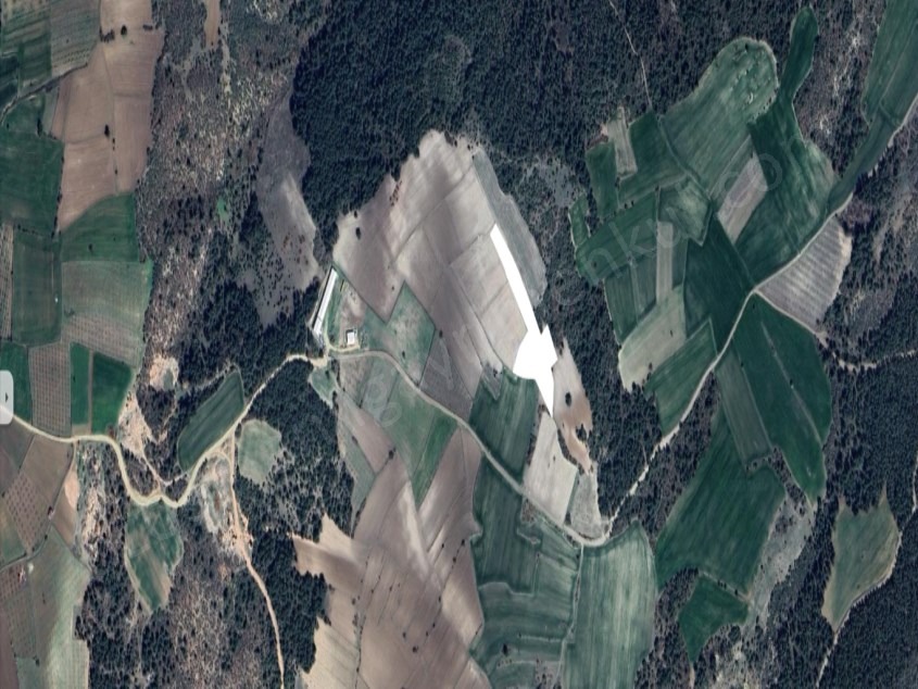 Fotoğraf