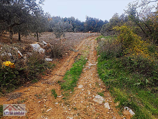 İlan Fotoğrafı