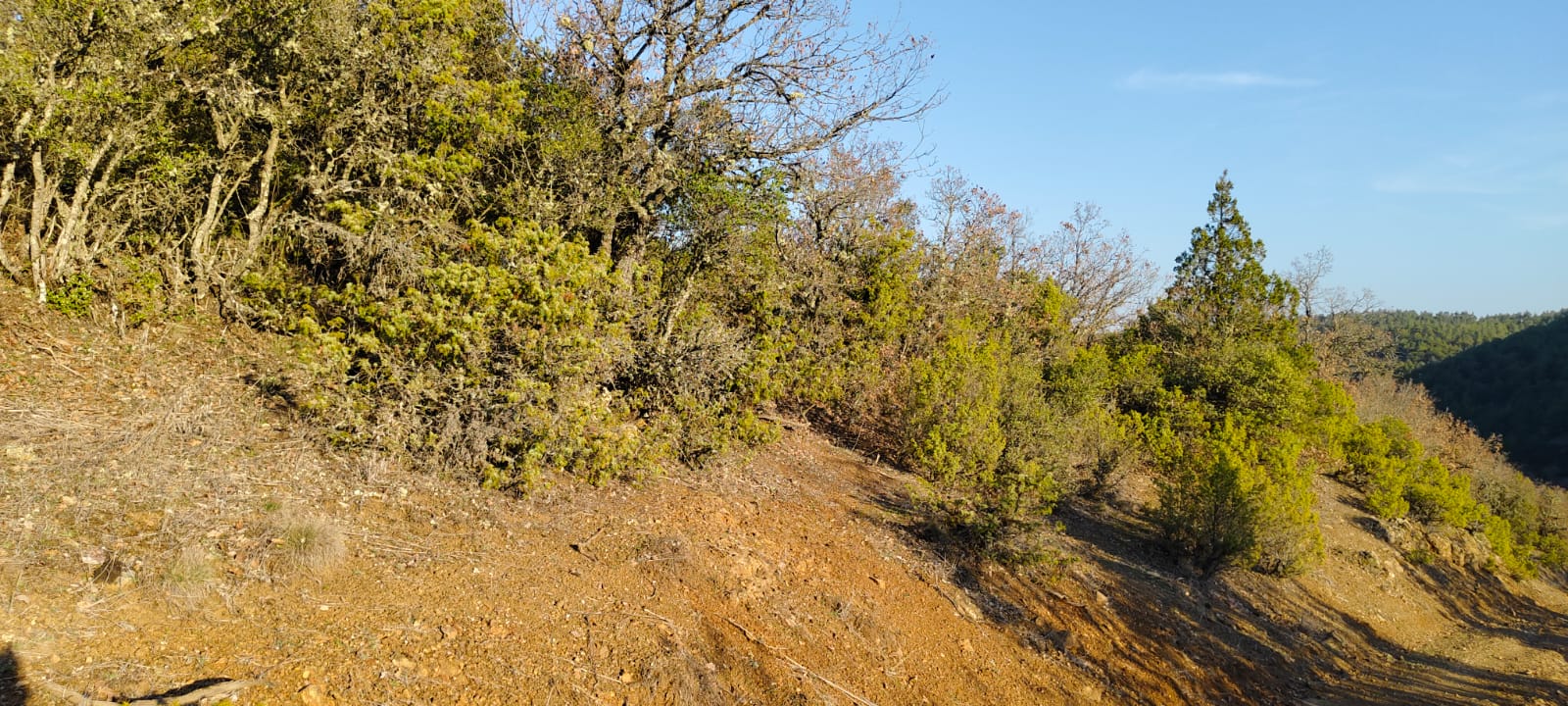 Fotoğraf