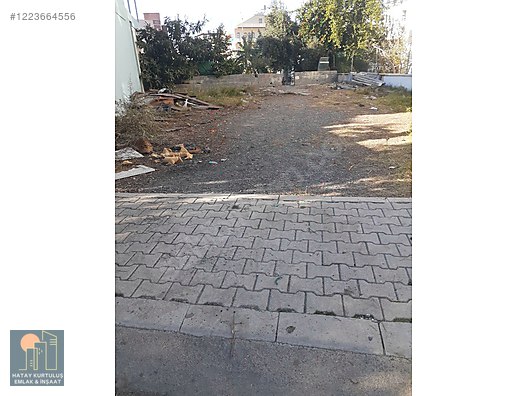 Fotoğraf