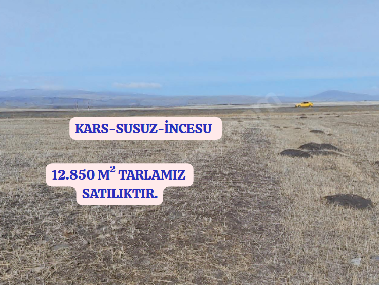 Fotoğraf