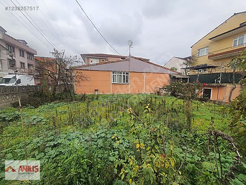 Fotoğraf